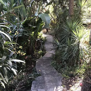  Konukevi Casa Simba (adults Only)